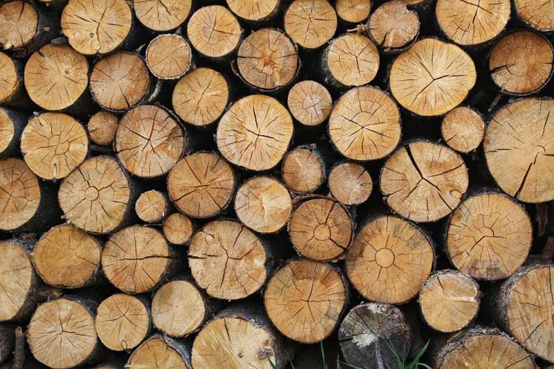 الخشب و إستخدامه في الديكور والتعرف علي خواصه و مميزاته و طريقة إنتاجه